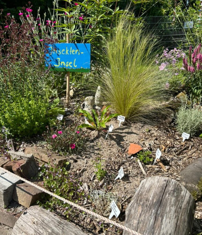 © STS Oldenfelde (StS)