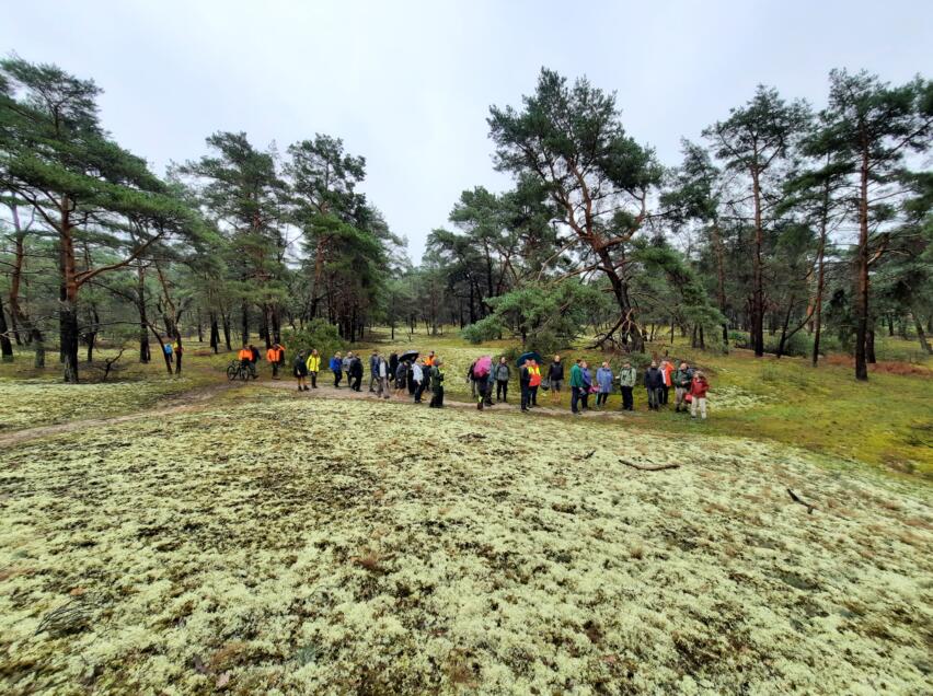Wie können Flechten-Kiefernwälder auf Binnendünen erhalten werden? Diese und weitere Fragen standen im Zentrum der Fachtagung, die neben Vorträgen auch eine Exkursion beinhaltete. (Foto: Loki Schmidt Stiftung)