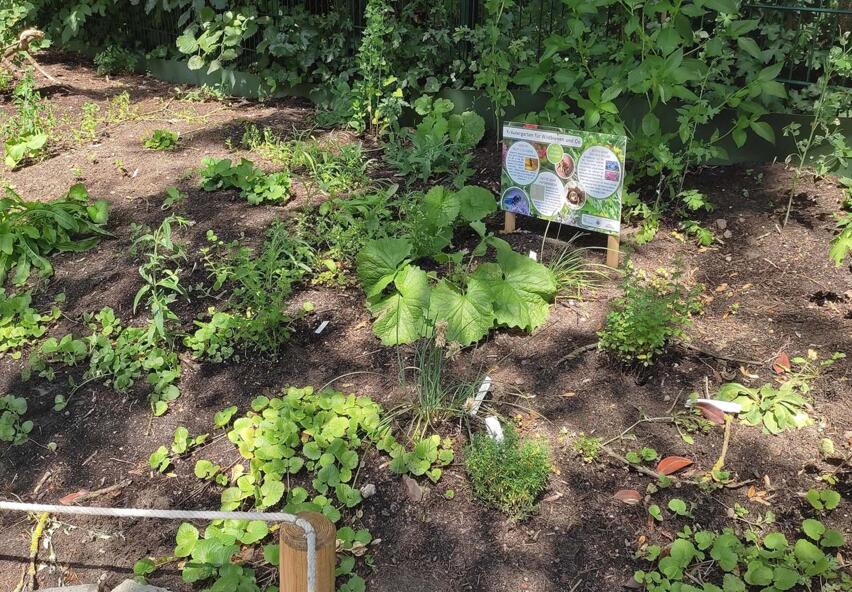 © Hansa-Gymnasium Bergedorf (G)