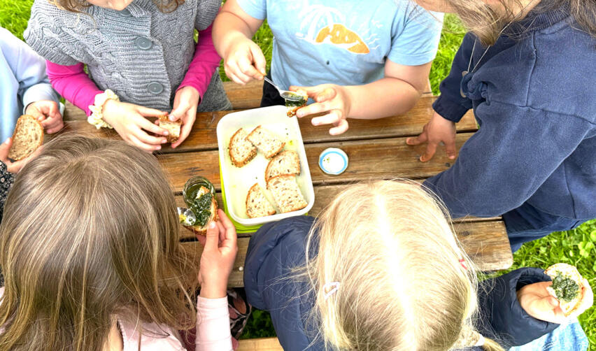 © Grundschule Döhrnstraße (GS)