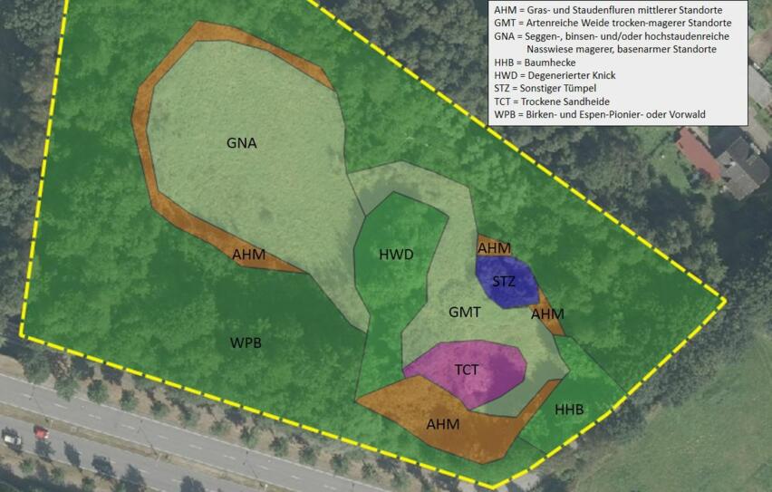 Beispiel einer Fl&auml;chentypischen Biotoptypenkartierung