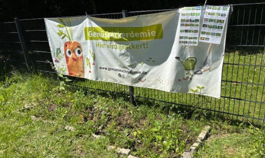 © Schule Jenfelder Straße (GS)