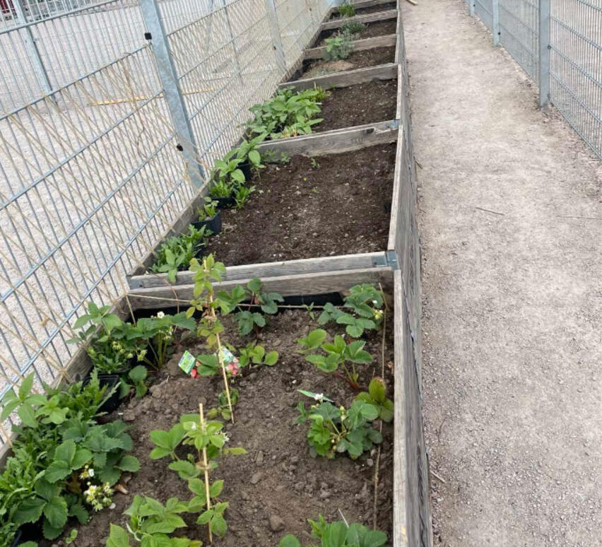 © Campus HafenCity (StS)