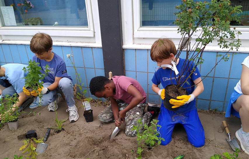 © GS St. Nikolai (GS)