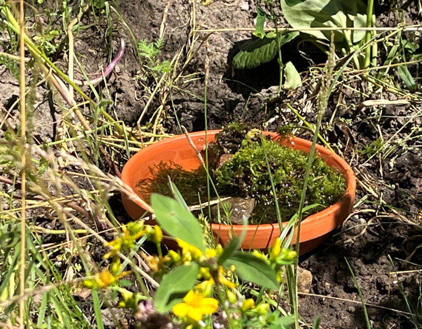 © Berufliche Schule Burgstraße