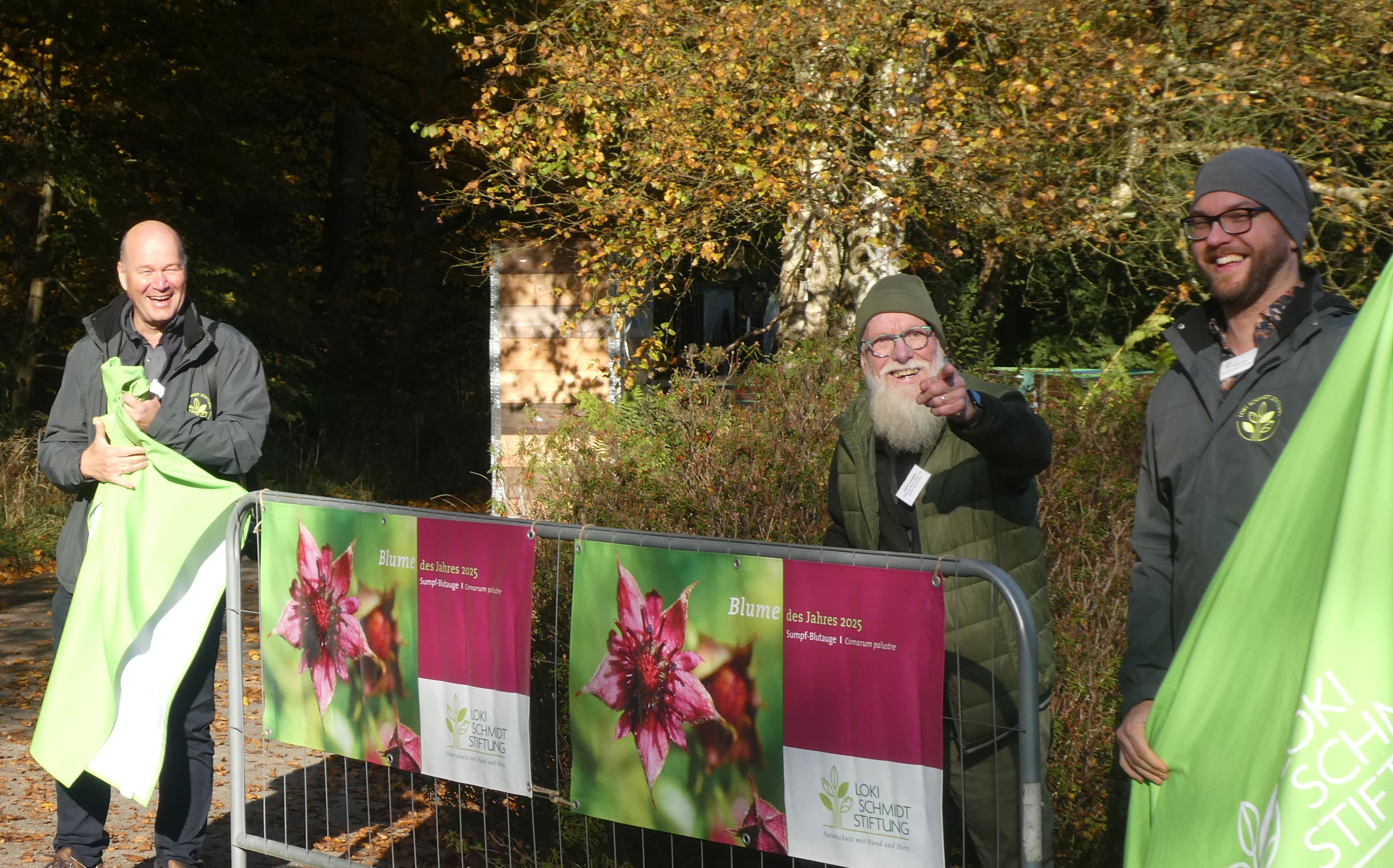Loki Schmidt Stiftung Blume des Jahres 2025 Das SumpfBlutauge