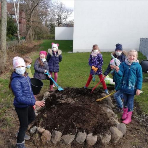 Anlage Staudenbeet