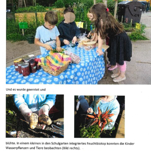 Projekt Schulgarten und Hochbeete