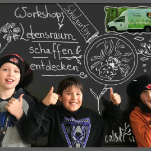 Lebensraum entdecken und gestalten
