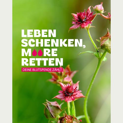 Kampagnenmotiv, Design: Annica Lill, Less is lovable