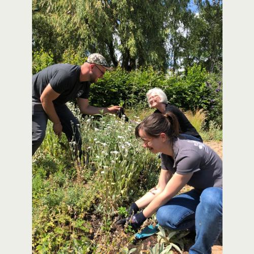 50 Kleine Braunellen pflanzten André Palm, Maxie Hecker (beide Loki Schmidt Stiftung) und Renate Schwarzmüller (hinten rechts, Wilhelmsburger Inselpark) gemeinsam mit Ehrenamtlichen.jpg
