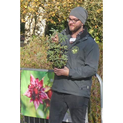 Biologe André Palm erläutert die Merkmale des Rosengewächses
