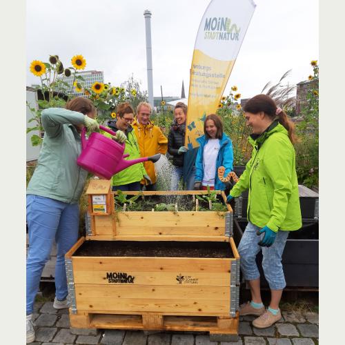 v.l.n.r. Barbara Schirmer (MOIN STADTNATUR-Beraterin), Christine Stecker (Loki Schmidt Stiftung, Projektleitung), Kelly van Holt, Marita Krempl (beide ARINET GmbH), Britta Behle (MOIN STADTNATUR-Beraterin), Viola Bödewadt (Loki Schmidt Stiftung)_Foto Loki Schmidt Stiftung