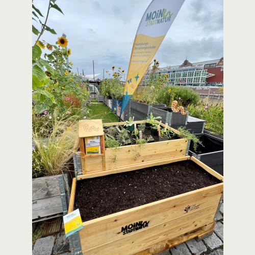 Der MOIN STADTNATUR Schaugarten im Oberhafengarten_Foto Christine Stecker