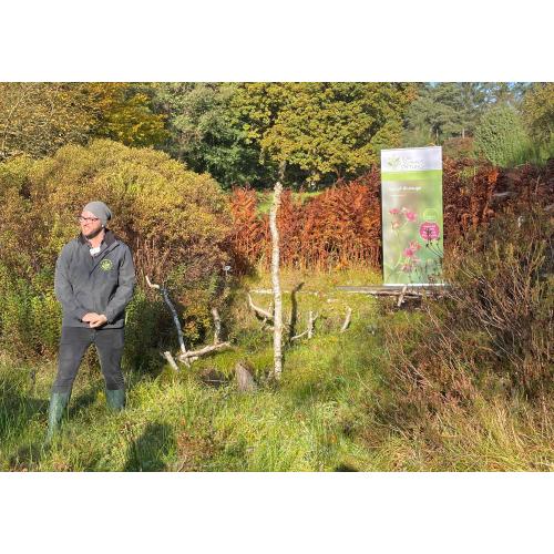 Die Bekanntgabe der Blume des Jahres fand im Botanischen Garten Hamburg statt
