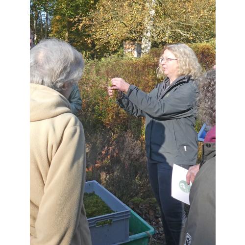 Dr. Kristin Ludewig erläutert anhand der 