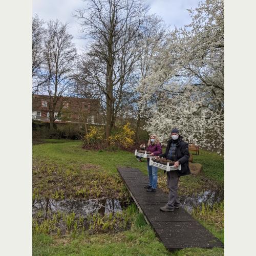 Dr. Kristin Ludewig und Axel Jahn mit Stauden des Großen Wiesenknopfes 