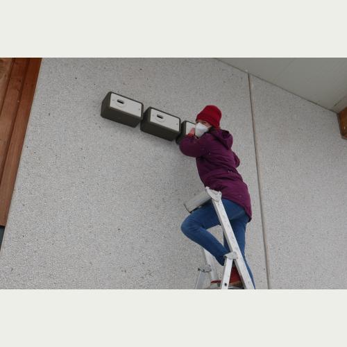 Ein Zuhause für den Mauersegler mitten in Wandsbek Projektleiterin auf der Leiter - Svenja Holst von der Loki Schmidt Stiftung bei Springer Bio Backwerk.jpg