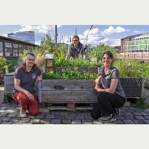 Im Einsatz für die Artenvielfalt_Viola Bödewadt, Christine Stecker (Projektleitung) und Amira Elatawna von MOIN STADTNATUR (Foto: Loki Schmidt Stiftung)