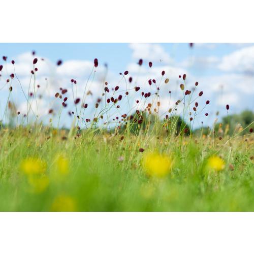 Foto: Julian Denstorf