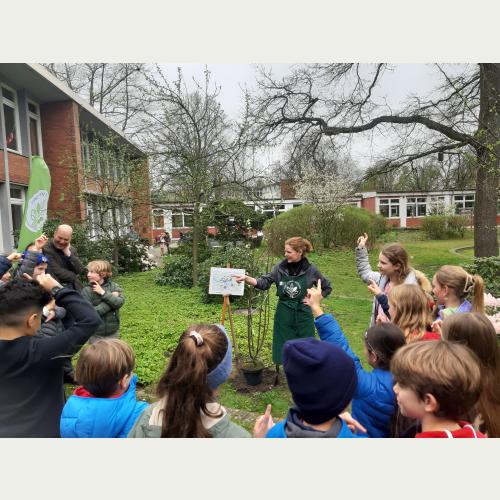 Stefanie Jakob (Loki Schmidt Stiftung)erklärt den Schülerinnen und Schülern, warum die Sal-Weide für Insekten lebenswichtig ist