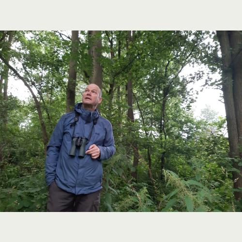 Der Wald soll sich auch in Zukunft ohne menschliche Eingriffe entwickeln können, nur selten wird Axel Jahn Führungen durch das Gebiet anbieten_Foto Loki Schmidt Stiftung