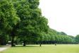 Hamburger Stadtpark (Foto: Julian Möbus)