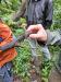 Pilze im Tideurwald