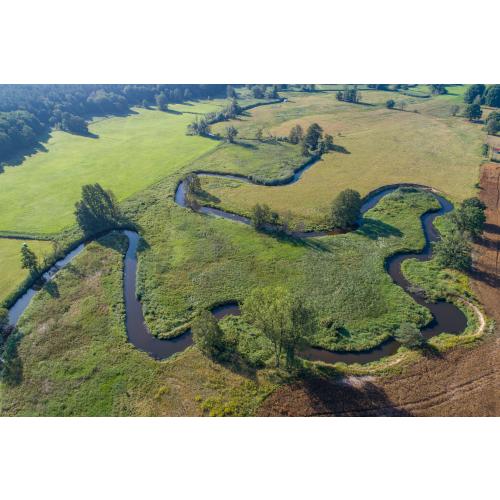 Sie wächst in Flussauen, an Ufern, auf feuchten Wiesen und in Niedermooren