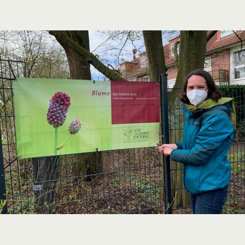 Svenja Holst von der Loki Schmidt Stiftung freut sich, dass der Große Wiesenknopf, Blume des Jahres 2021, nun im Wilhelmsburger Inselpark wächst..jpg