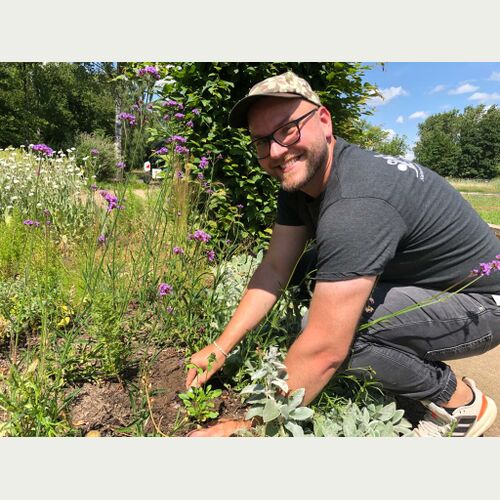Die Pflanzaktion soll zum Nachahmen anregen und dazu animieren, mehr heimische Wildblumen in Gärten und auf Balkonen zu pflanzen, sagt André Palm (Projekt Blume des Jahres, Loki Schmidt Stiftung