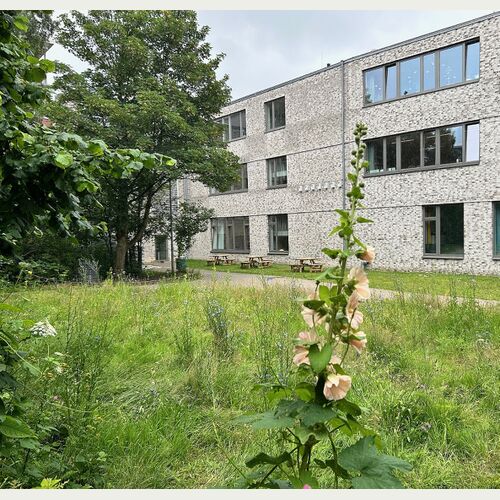 An der Grundschule Hoheluft wurden neue Futterquellen angelegt und Pflanzen und Tiere bestimmt