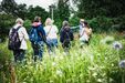 Wildblumen-Wiese im Stadtpark Eimsbüttel - Foto: Linus Koch