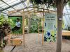 Botanischer Garten Rombergpark Dortmund