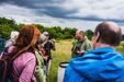 Insekten auf dem Energieberg Georgswerder - Foto: Linus Koch