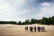 Die Boberger Dünen sind Lebensraum für viele Arten - Foto: Linus Koch