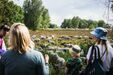 Beweidung in der Boberger Niederung: Wie Schafe Kröten helfen können  - Foto: Linus Koch