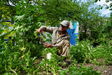 MOTTE Urban Gardening
