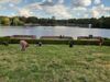 Die Wiese am Stadtparksee ist sonnig und trocken - ideale Standortbedingungen für Grasnelke, Kuhschelle & Co.